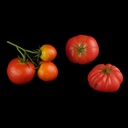 Miete von Kunst-Tomate (Interval(s))