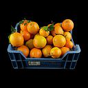 Miete - Kiste Kunst-Orangen