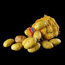 Miete - Sack Kunst-Kartoffeln