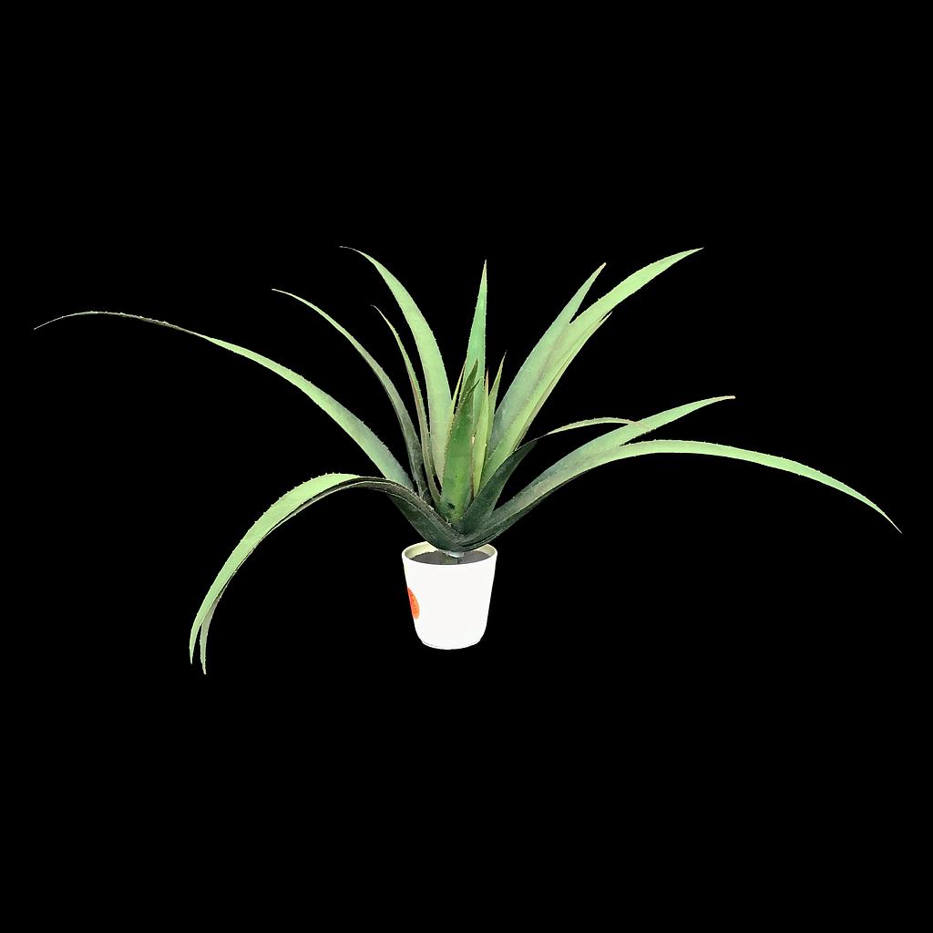 Miete - Aloe - Künstliche Pflanze