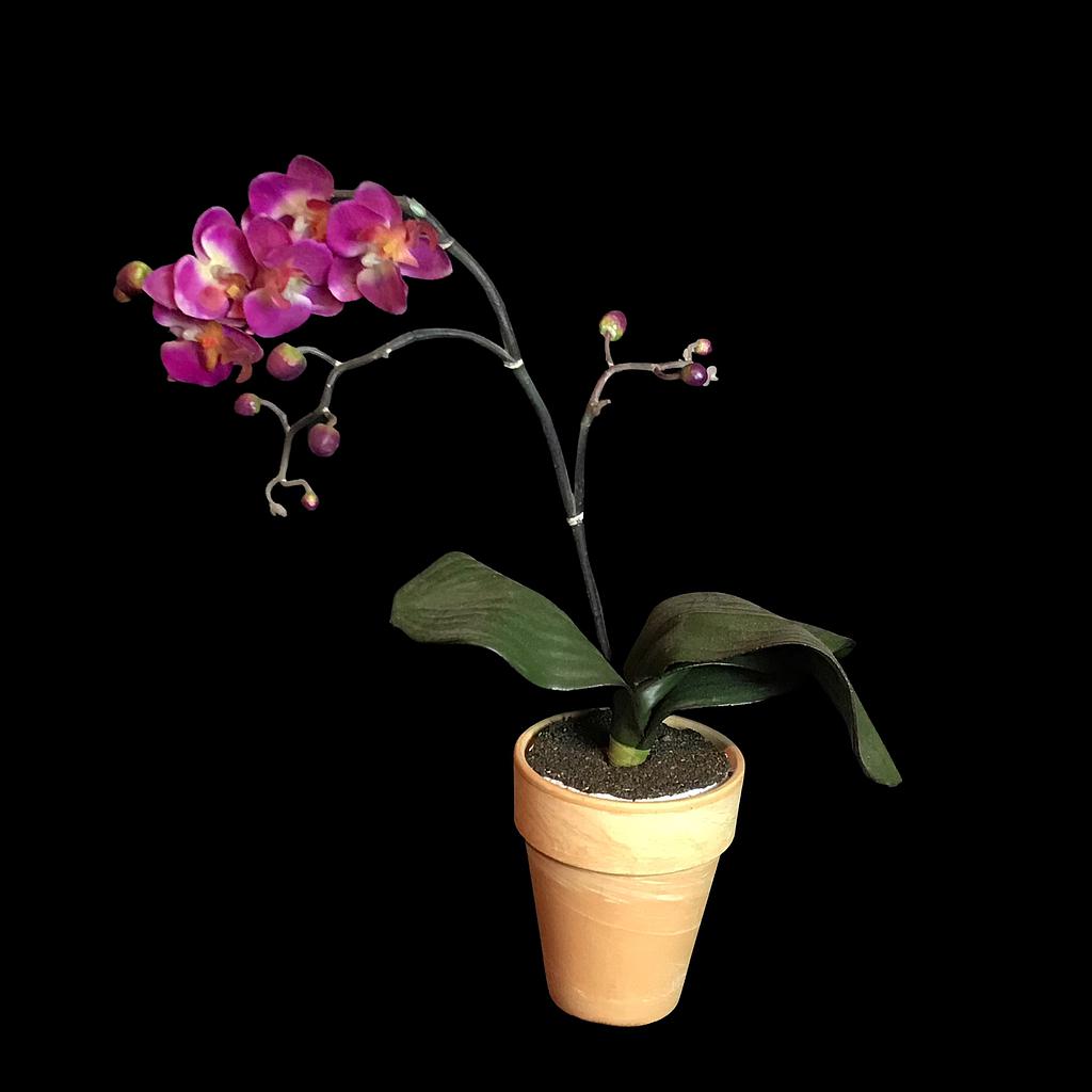 Künstliche Pflanze, Orchidee, pink