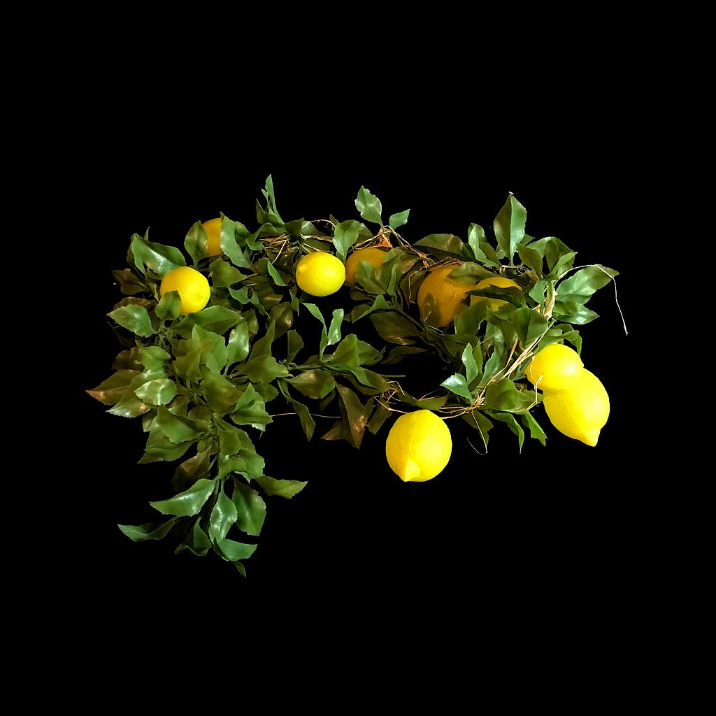 Miete - Zitronen-Ranke, gelb