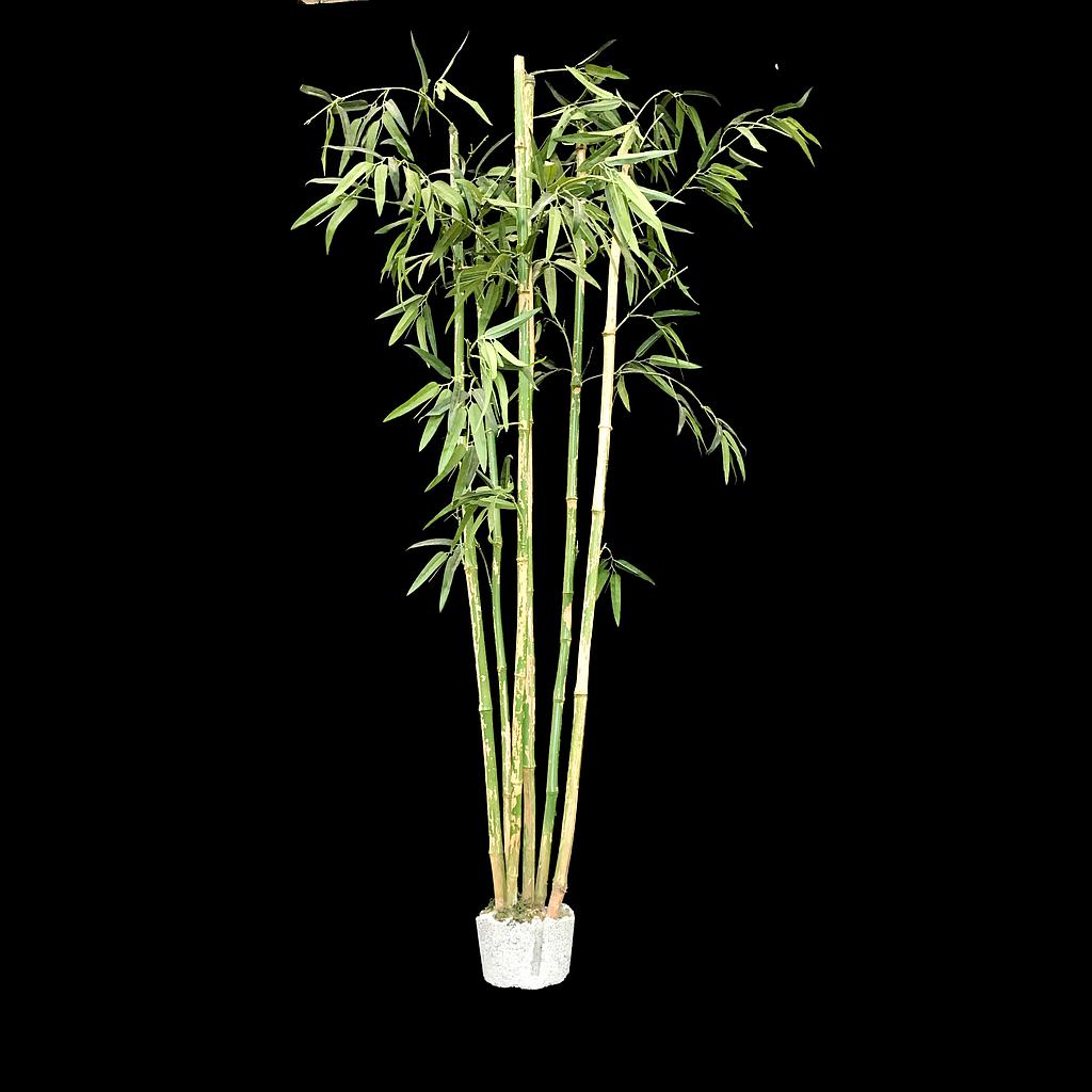 Miete - Bambus, künstliche Pflanze
