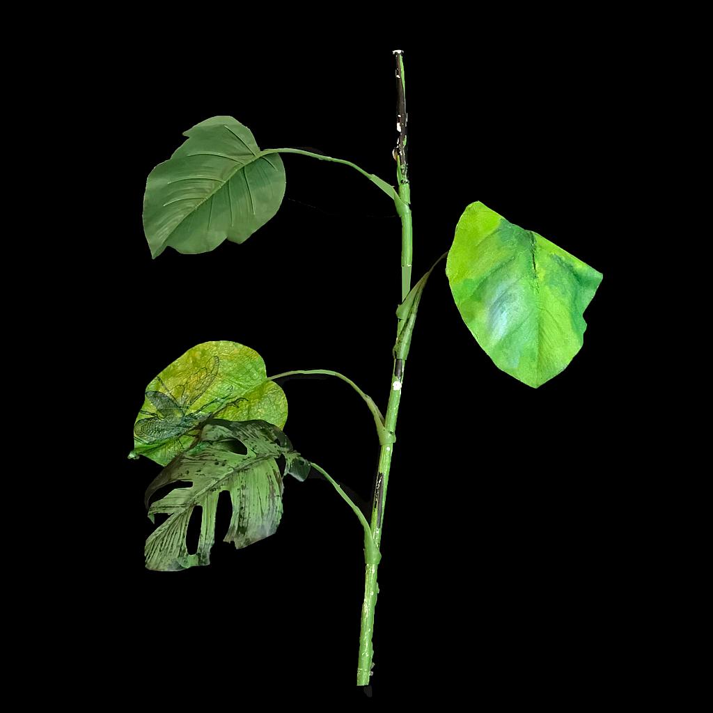 Miete - Urwald-Blätter, diverse