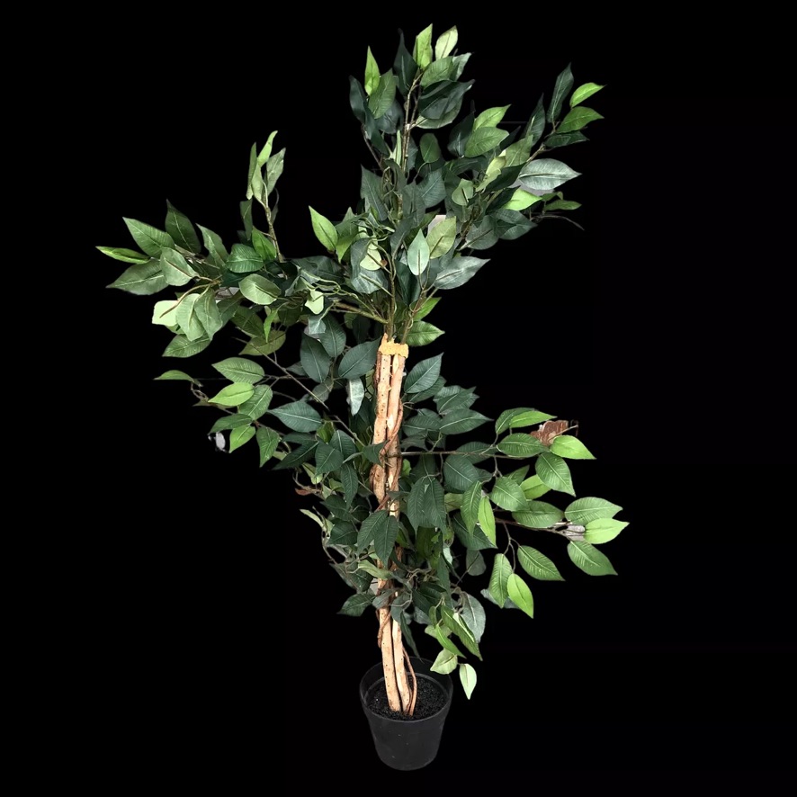 Miete - Kleiner künstlicher Ficus Benjamini im Topf