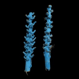 [MAR0174] 2 blaue Fake-Korallen