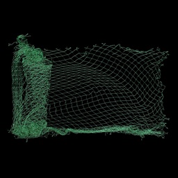[MAR0199] mittelgroßes, grünes Netz