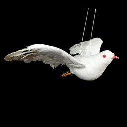 [MAR0212] weiße Taube