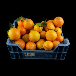 [REQ0013] Kiste Kunst-Orangen