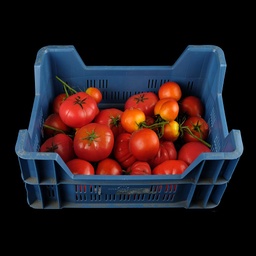 [REQ0015] Kiste Kunst-Tomaten
