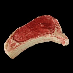 [REQ0034] Kunst-Steak