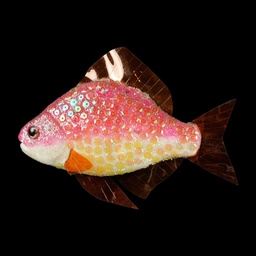 [MAR0225] kleiner roter Glitzerfisch