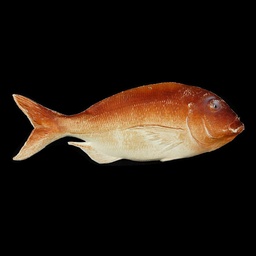 [MAR0226] Fisch aus Plastik Dorade