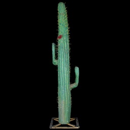 [KUL0009] Riesen-Kaktus mit roten Blüten