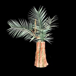 [PFL0013] Palmengesteck in Stamm-Vase