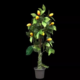 [V-PFL0082] Miete - Künstlicher Mangobaum